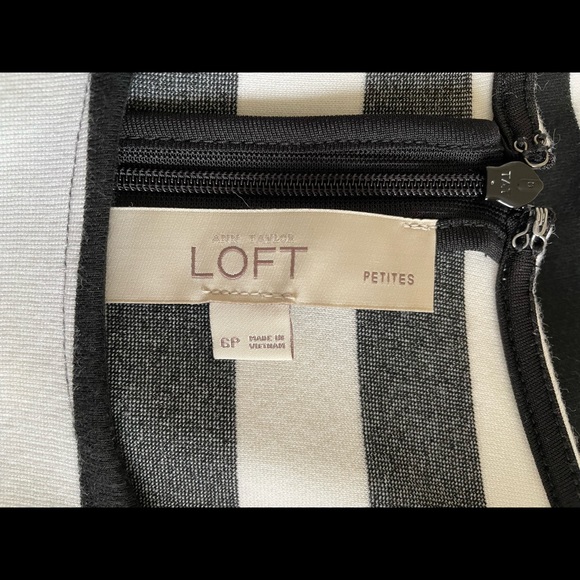 Loft Black/Ivory Striped Dress - Picture 4 of 5